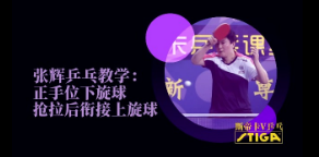 [张辉]抢拉下旋后衔接上旋，用强势的连续进攻压制对手，这个太霸气了！