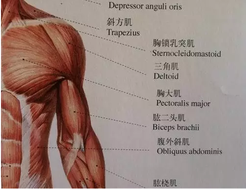 球友练球中常见的伤痛及防治方法