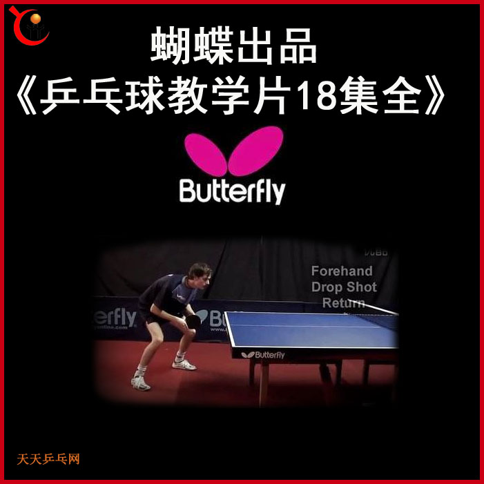 《乒乓球教学片18集全》乒乓球教学视频合集 百度网盘下载