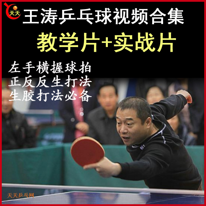 王涛乒乓球教学与比赛视频合集乒乓教程百度网盘下载