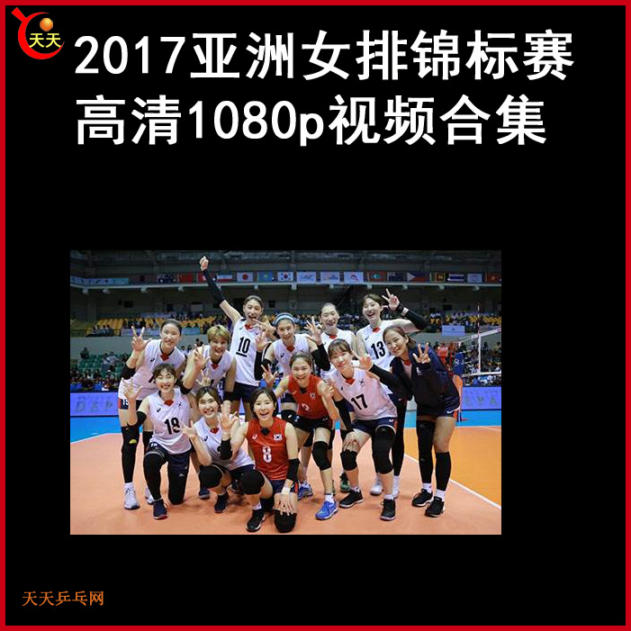 2017亚洲排球女排锦标赛高清视频全集百度网盘下载