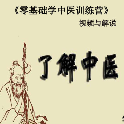 《零基础学中医训练营》视频与解说全集百度网盘百度云下载