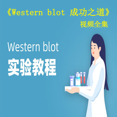 《Western blot 成功之道》视频全集百度网盘百度云下载