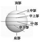 乒乓球运动中如何区分打球和摩擦球