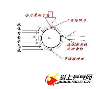 乒乓球运动过程中弧线的产生原理