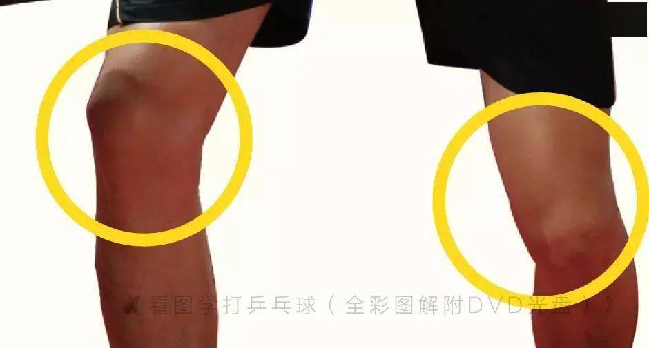 乒乓健康：介绍七种膝关节锻炼方法，有效预防膝盖损伤！