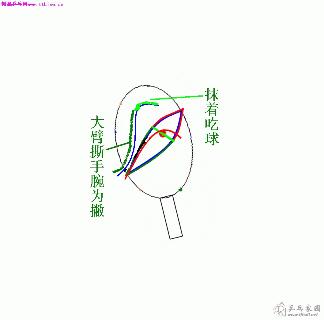 反手弧圈4.gif