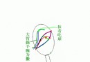 反手加转弧圈技术体会