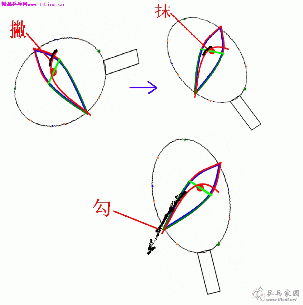 反手弧圈1.gif