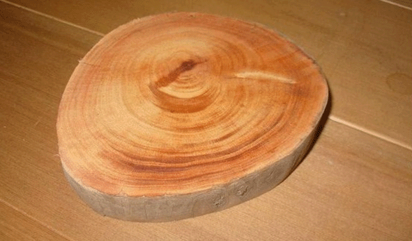 烧器材那你必须要先了解木头！常用的乒乓器材的木材！