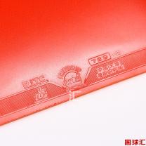 /images/201204/goods_img/740_P_1333689172406.jpg