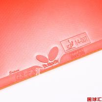 /images/201204/goods_img/788_P_1333706514860.jpg