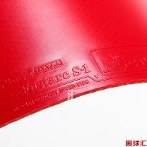 /images/201204/goods_img/875_P_1333816452980.jpg