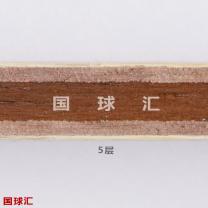 /images/201204/goods_img/1707_P_1334210395542.jpg