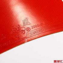 /images/201203/goods_img/957_P_1332736156981.JPG