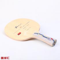 拍里奥 B21