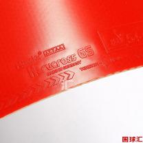 /images/201206/goods_img/2195_P_1339344544118.JPG