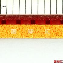 /images/201402/goods_img/2395_P_1391709169459.jpg
