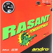 岸度 锐煞 Powersponge Rasant Powersponge