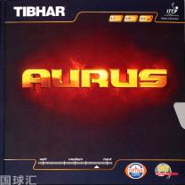 挺拔 龙 Aurus