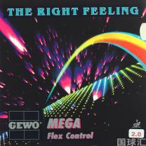 捷沃 弓网 Mega Flex Control