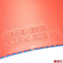 多尼克 Acuda P2