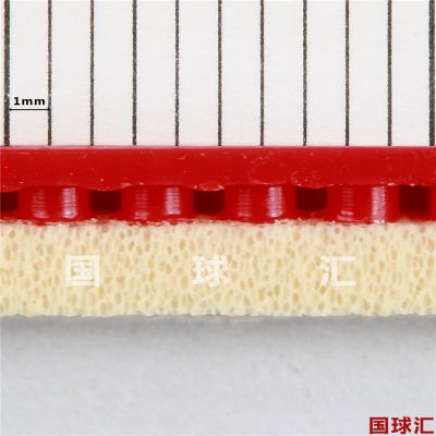/Upload/goods/2017-12-15/5a33790bb6941.JPG