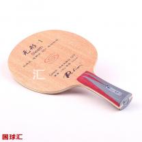 拍里奥 无形-1 Stealth