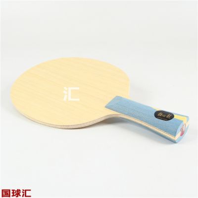 红双喜 新狂飚龙5 Hurricane Long V