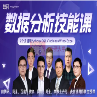 职问X网易 - 数据分析技能课 百度网盘分享