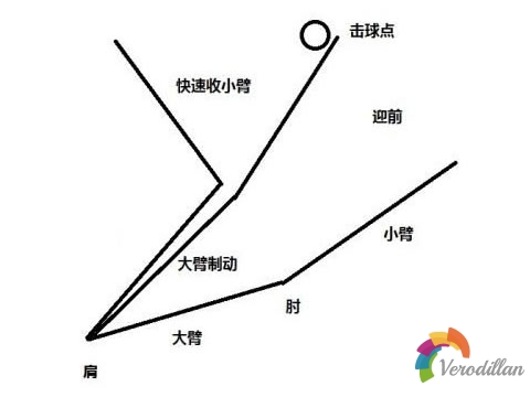 [小我私人实战总结]弧圈球动作要点浅析