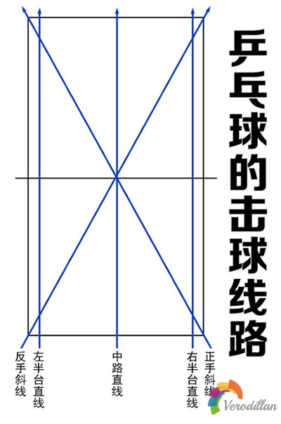 乒乓球击球线路及击球落点深度解码