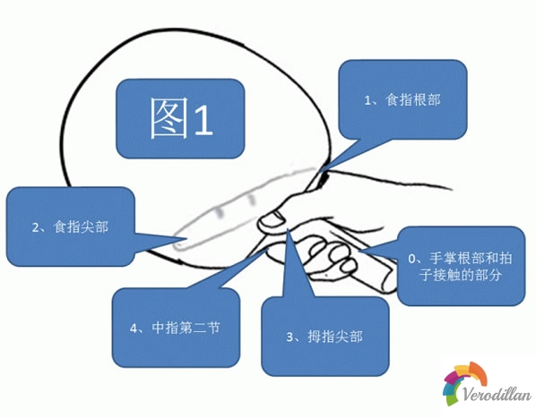 乒乓球基础之若何科学握拍
