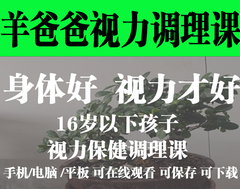 羊爸爸16岁以下孩子的视力保健调理课